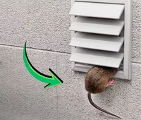 dryer-vent-rodent dryer-vent-rodent