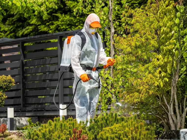 Worker in a white protective suit spraying shrubs beside a dark fence